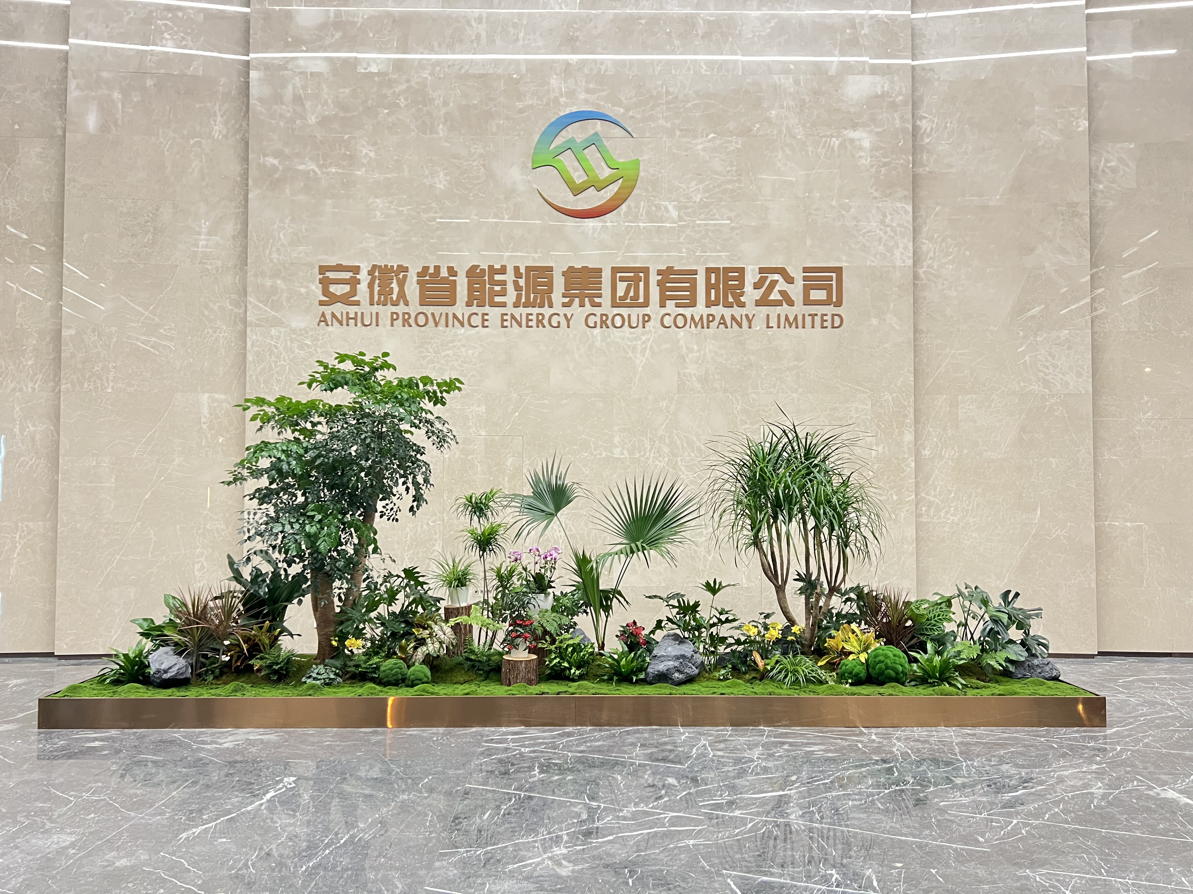 余姚专业植物租摆，让绿植为环境增添独特魅力！